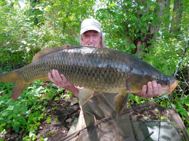 Dave Pickering with carp